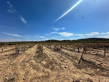 Enorme bouwkavels met ongelooflijk uitzicht in Yecla