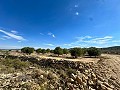 Huge building plots with incredible views in Yecla in Alicante Dream Homes Hondon