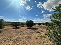 Immenses terrains à bâtir avec des vues incroyables à Yecla in Alicante Dream Homes Hondon