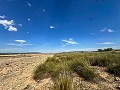 Immenses terrains à bâtir avec des vues incroyables à Yecla in Alicante Dream Homes Hondon