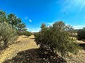 Riesige Baugrundstücke mit unglaublicher Aussicht in Yecla in Alicante Dream Homes Hondon