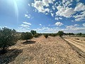 Huge building plots with incredible views in Yecla in Alicante Dream Homes Hondon