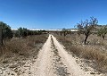 Finca mit 3 Schlafzimmern und 2 Bädern in Sax mit über 16.000 m² Land in Alicante Dream Homes Hondon