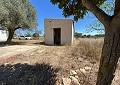 Finca mit 3 Schlafzimmern und 2 Bädern in Sax mit über 16.000 m² Land in Alicante Dream Homes Hondon