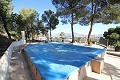 Large Villa on the outskirts of Monovar, walking distance to town in Alicante Dream Homes Hondon