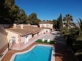 Large Villa on the outskirts of Monovar, walking distance to town in Alicante Dream Homes Hondon