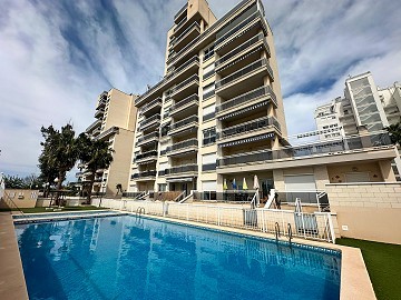 Magnífico ático con enorme terraza en Guardamar Del Segura  