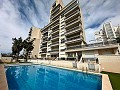 Wunderschönes Penthouse mit riesiger Terrasse in Guardamar Del Segura in Alicante Dream Homes Hondon