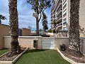 Magnífico ático con enorme terraza en Guardamar Del Segura   in Alicante Dream Homes Hondon