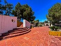 Herenhuis tussen Monóvar en Novelda in Alicante Dream Homes Hondon