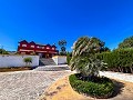 Manoir entre Monóvar et Novelda in Alicante Dream Homes Hondon