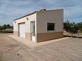 Spectaculaire villa met 6 slaapkamers en 2 badkamers en zwembad in Alicante Dream Homes Hondon