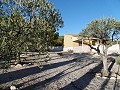 Maison de campagne avec 2 chambres et 1 salle de bain avec piscine in Alicante Dream Homes Hondon