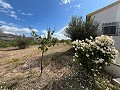 3 Bedroom 2 Bathroom Country Home in Alicante Dream Homes Hondon