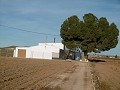 Amplia casa de campo con piscina y viñedo in Alicante Dream Homes Hondon