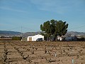 Grande Maison de Campagne avec Piscine & Vignoble in Alicante Dream Homes Hondon