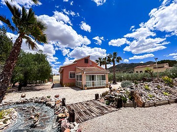 Magnificent villa with pool in Hondon De Los Frailes