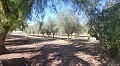 Belle Villa De Campagne Avec Piscine Et Terrain in Alicante Dream Homes Hondon