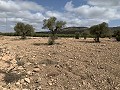 Landhuis met 4 slaapkamers, garage en zwembad in Alicante Dream Homes Hondon