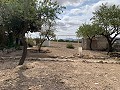 Maison de campagne avec 4 chambres, Garage et Piscine in Alicante Dream Homes Hondon