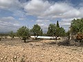 Landhuis met 4 slaapkamers, garage en zwembad in Alicante Dream Homes Hondon