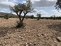 Landhuis met 4 slaapkamers, garage en zwembad in Alicante Dream Homes Hondon