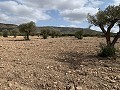 Landhuis met 4 slaapkamers, garage en zwembad in Alicante Dream Homes Hondon