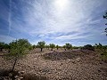 Herrliches Grundstück mit Renovierungspotenzial in Almansa in Alicante Dream Homes Hondon