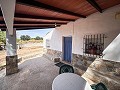 Prachtig veld met renovatiepotentieel in Almansa in Alicante Dream Homes Hondon