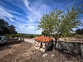 Magnificent country house with renovation potential in Almansa in Alicante Dream Homes Hondon