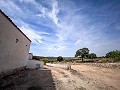 Prachtig veld met renovatiepotentieel in Almansa in Alicante Dream Homes Hondon