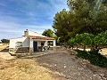 Magnificent country house with renovation potential in Almansa in Alicante Dream Homes Hondon