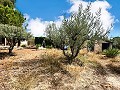 Maravillosa villa de 2 plantas en Castalla in Alicante Dream Homes Hondon