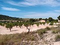 Villa met 2 slaapkamers (mogelijk 3 slaapkamers) met een spectaculair uitzicht in Alicante Dream Homes Hondon