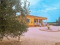 Maison de 3 chambres et 2 salles de bains à Torre del Rico in Alicante Dream Homes Hondon