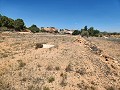 27,000m2 of land with wooden cabin in Alicante Dream Homes Hondon