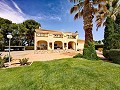 Erstaunliche Villa mit 6 Schlafzimmern und 3 Bädern in Yecla in Alicante Dream Homes Hondon