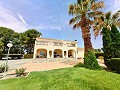 Geweldige villa met 6 slaapkamers en 3 badkamers in Yecla in Alicante Dream Homes Hondon