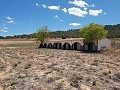 Traditioneel boerderijlandgoed met 30 slaapkamers in Alicante Dream Homes Hondon