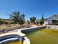 Stunning Countryhouse with Private Pool in Alicante Dream Homes Hondon