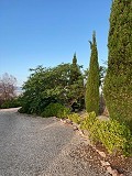 Lovely spiral villa in cañada de la Trigo in Alicante Dream Homes Hondon