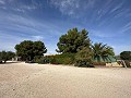 Campsite Business with a 4 Bed House in Alicante Dream Homes Hondon