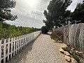 Campingplatzbetrieb mit 4-Bett-Haus in Alicante Dream Homes Hondon