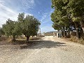 Campingplatzbetrieb mit 4-Bett-Haus in Alicante Dream Homes Hondon