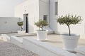 Prachtige villa met 5 slaapkamers en 6 badkamers in Alicante Dream Homes Hondon