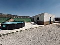 Villa with outbuildings in Abanilla in Alicante Dream Homes Hondon