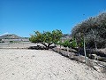 Stunning plot of land perfect for a mobile home and close to the ocean  in Alicante Dream Homes Hondon