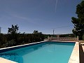 Atemberaubende 4-Schlafzimmer-Villa mit Pool in Caudete in Alicante Dream Homes Hondon