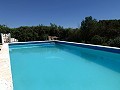 Atemberaubende 4-Schlafzimmer-Villa mit Pool in Caudete in Alicante Dream Homes Hondon