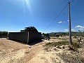 Charmantes Landhaus zum Renovieren in Monóvar in Alicante Dream Homes Hondon